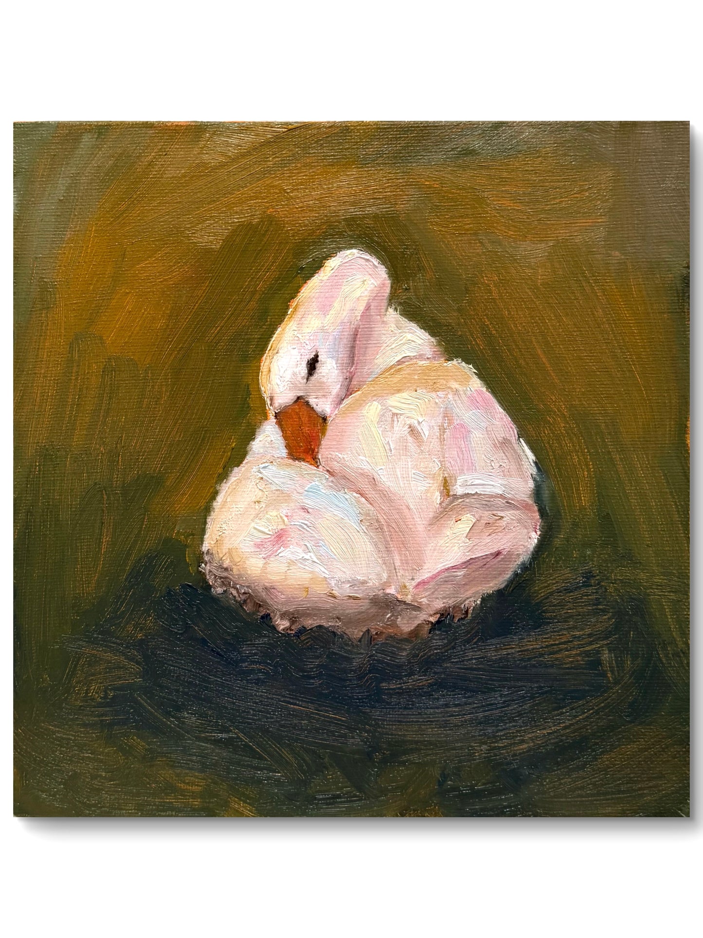 "Slumbering Swan" Original Painting