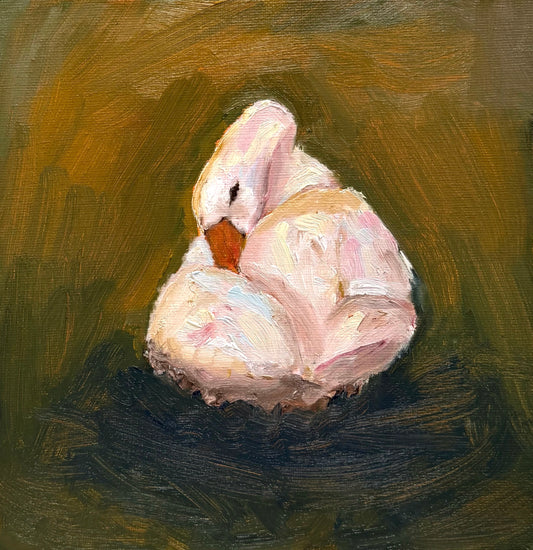 "Slumbering Swan" Original Painting