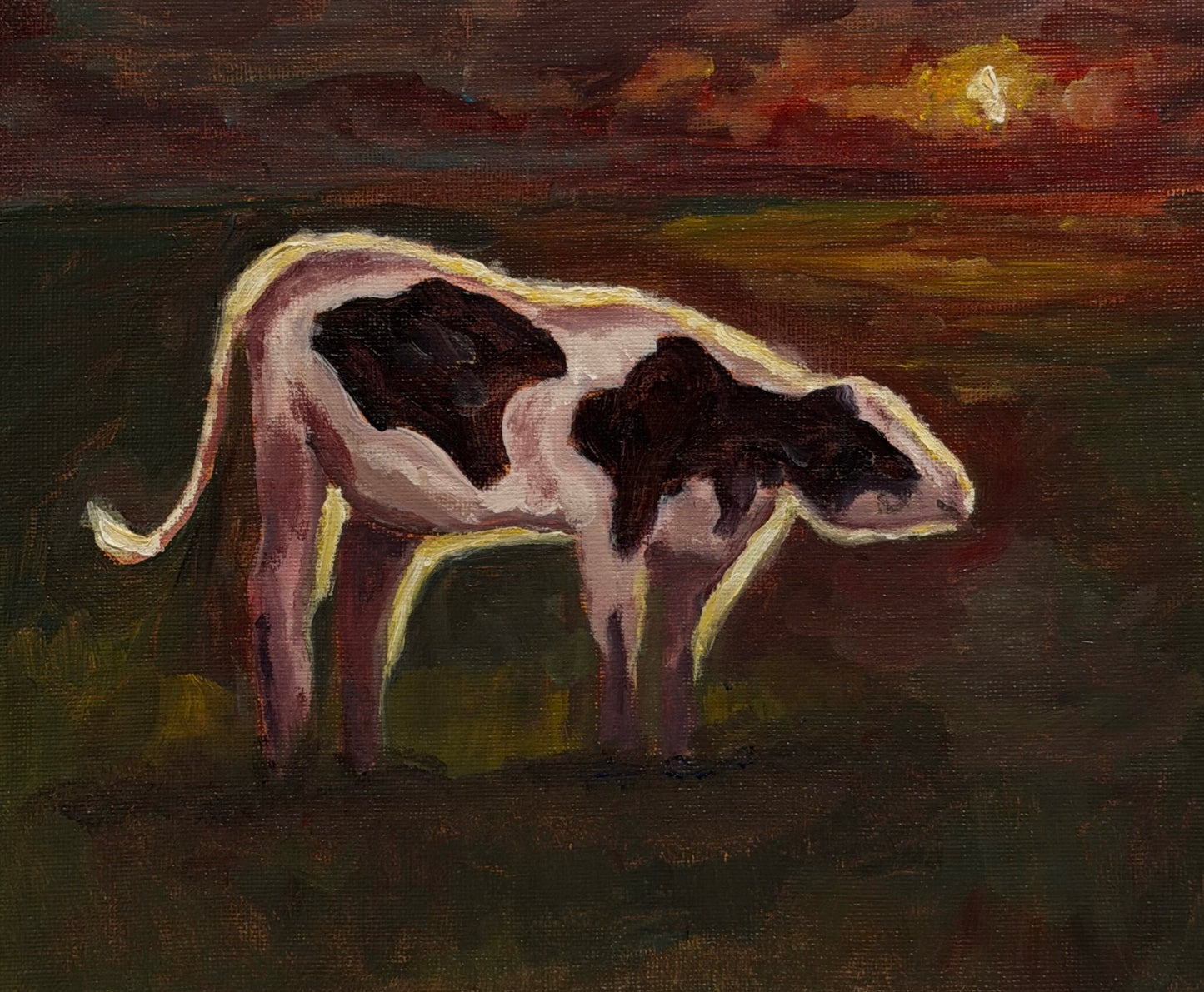 "Sunset Cow" Original Painting